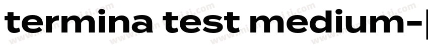 termina test medium字体转换